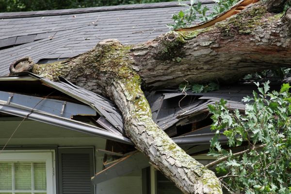 Storm Remediation in Mechanicsville