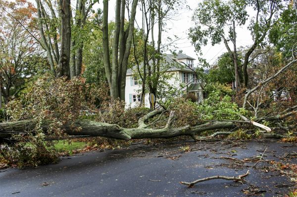 Tornado Damage Repair in Mechanicsville